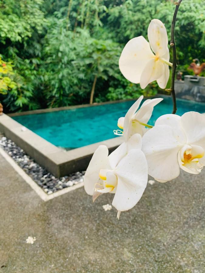 Gek House Ubud  Bagian luar foto