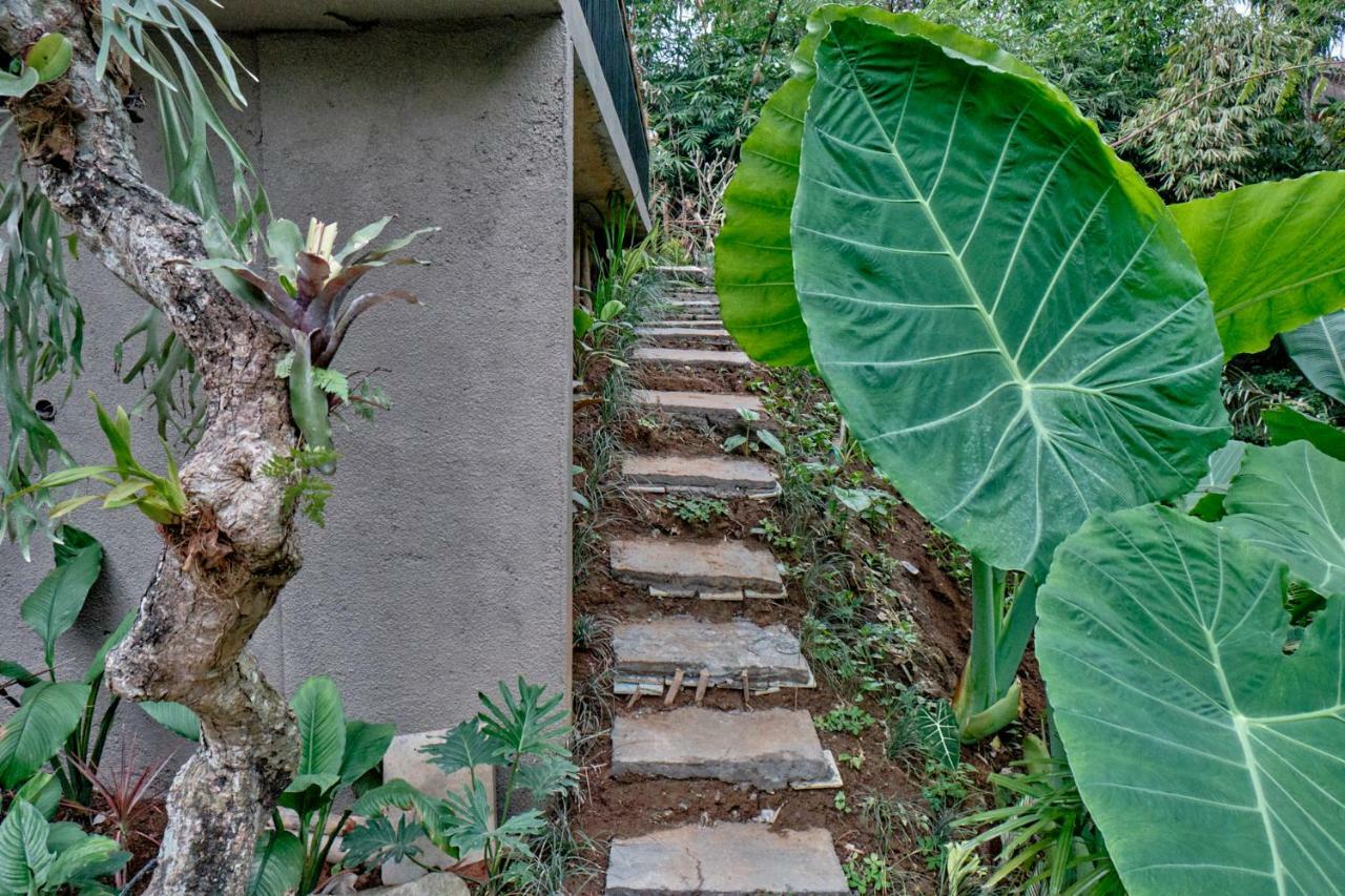 Gek House Ubud  Bagian luar foto